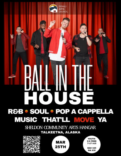 Ball in the House